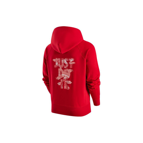 Толстовка Nike FW23 Logo, FZ6373-657
