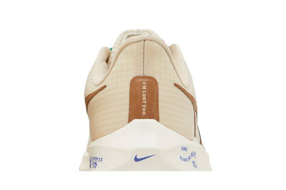 Кроссовки Nike Air Zoom Pegasus 39 'Moving Company'