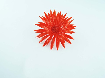 Астра крупная пластик