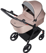 Коляска 2 в 1 Anex IQ