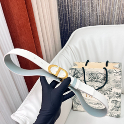 Christian Dior Reversible Belt