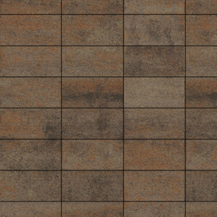 Тротуарная плитка ПРЯМОУГОЛЬНИК 300х150 мм - Листопад гранит Клен