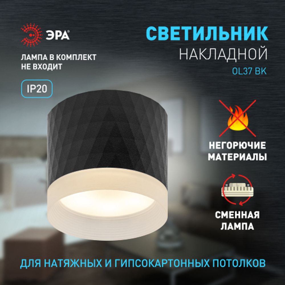 Светильник настенно-потолочный спот ЭРА OL37 BK под GX53 IP20 черный | Накладные светильники