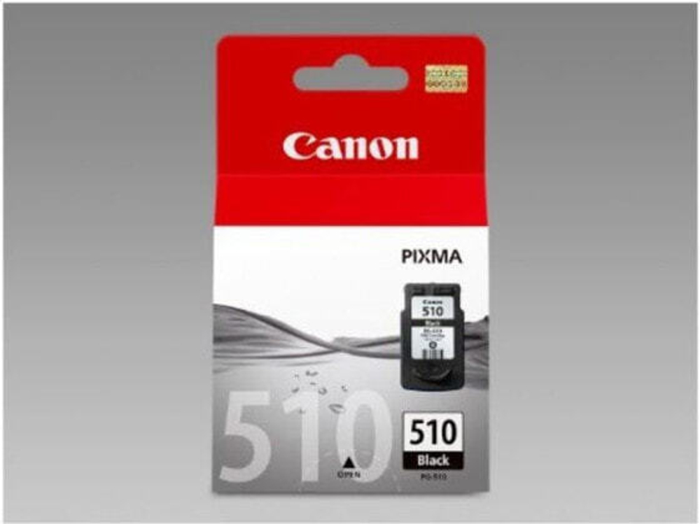 Картридж струйный черный 1 шт Canon CCICTO0243 2970B001