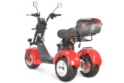 Электротрицикл WHITE SIBERIA Ikra 5000W