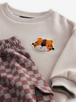 Толстовка и джоггеры в комплекте для мальчика Next B16-821, Серый, Коричневый