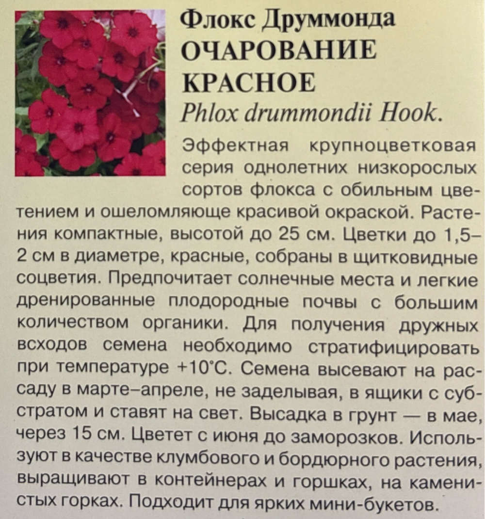 Флокс Очарование красное друммонда 0,05 г СМЦ-282