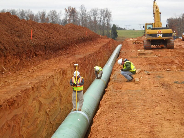 Виды выполняемых работ: