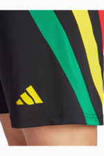 Шорты adidas Fortore 23
