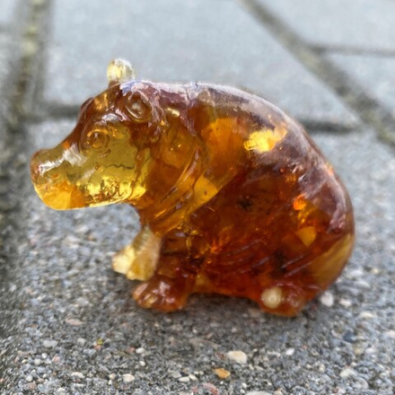 Бегемот сидит