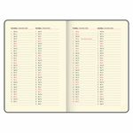 Ежедневник датированный 2025, А5, 138x213 мм, BRAUBERG "Cayman", под кожу, бордовый/черный, 115771