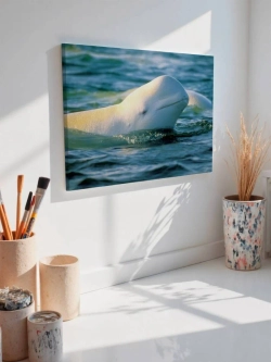 Картина на стену 40 X 50 Белуга