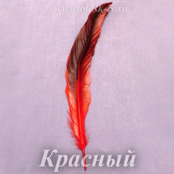 Перо петуха 25-30 см, Красный