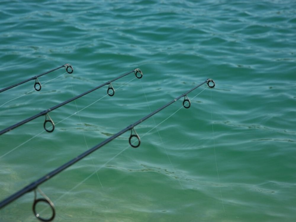 KORDA Леска Kontour Fluorocarbon 0,33мм 200м