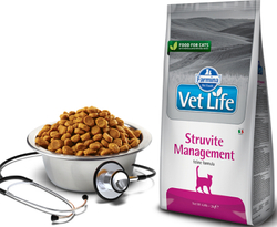 Сухой корм FARMINA Vet Life Management Struvite для взрослых кошек при лечении и профилактики МКБ - 5 кг