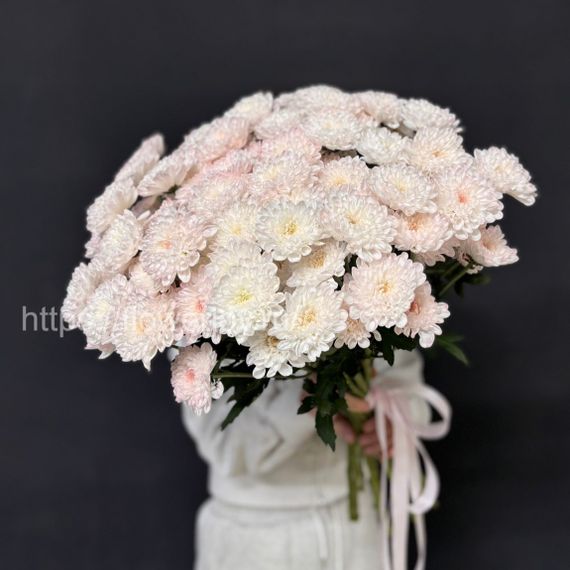 Букет из нежно-розовой хризантемы