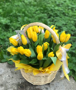 25 тюльпанов в корзине (микс желтых и светло-фиолетовых)