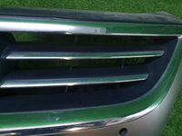 Решетка радиатора VW Passat CC (2008-2012)