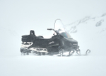 Снегоход SHARMAX SHP-1000 EFI