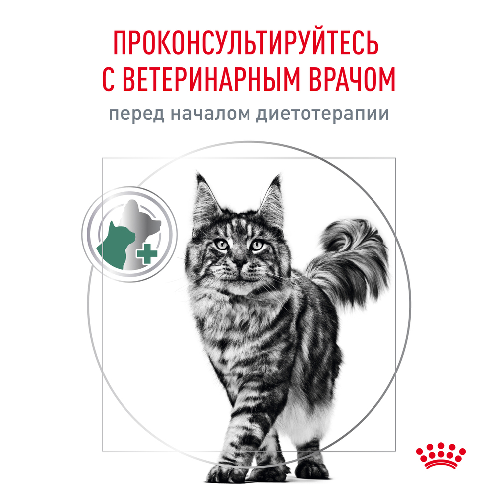 ROYAL CANIN Diabetic Корм сухой для взрослых кошек при сахарном диабете, 400 г