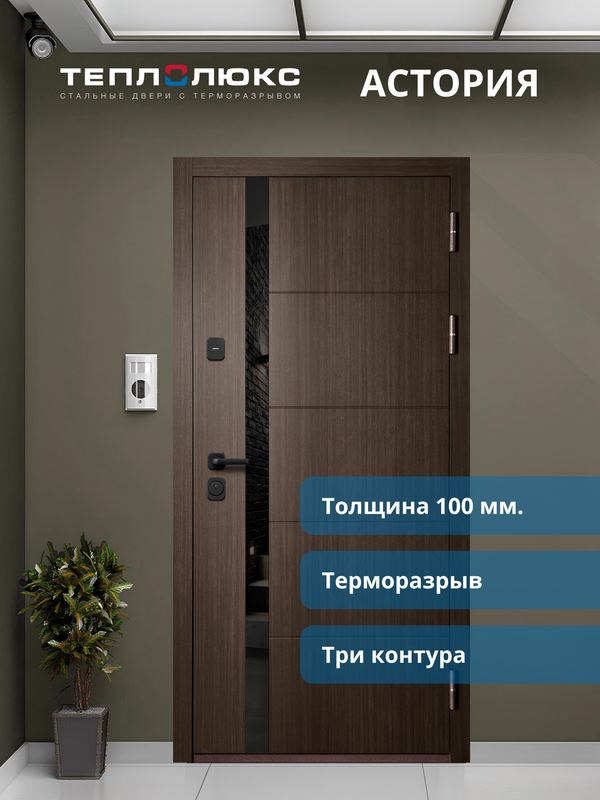 Входная дверь Астория зеркало