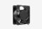 EX289020RUS_0126709110838
