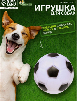 Игрушка для собак «Мяч Футбол», 6.2 см, пищащая, винил