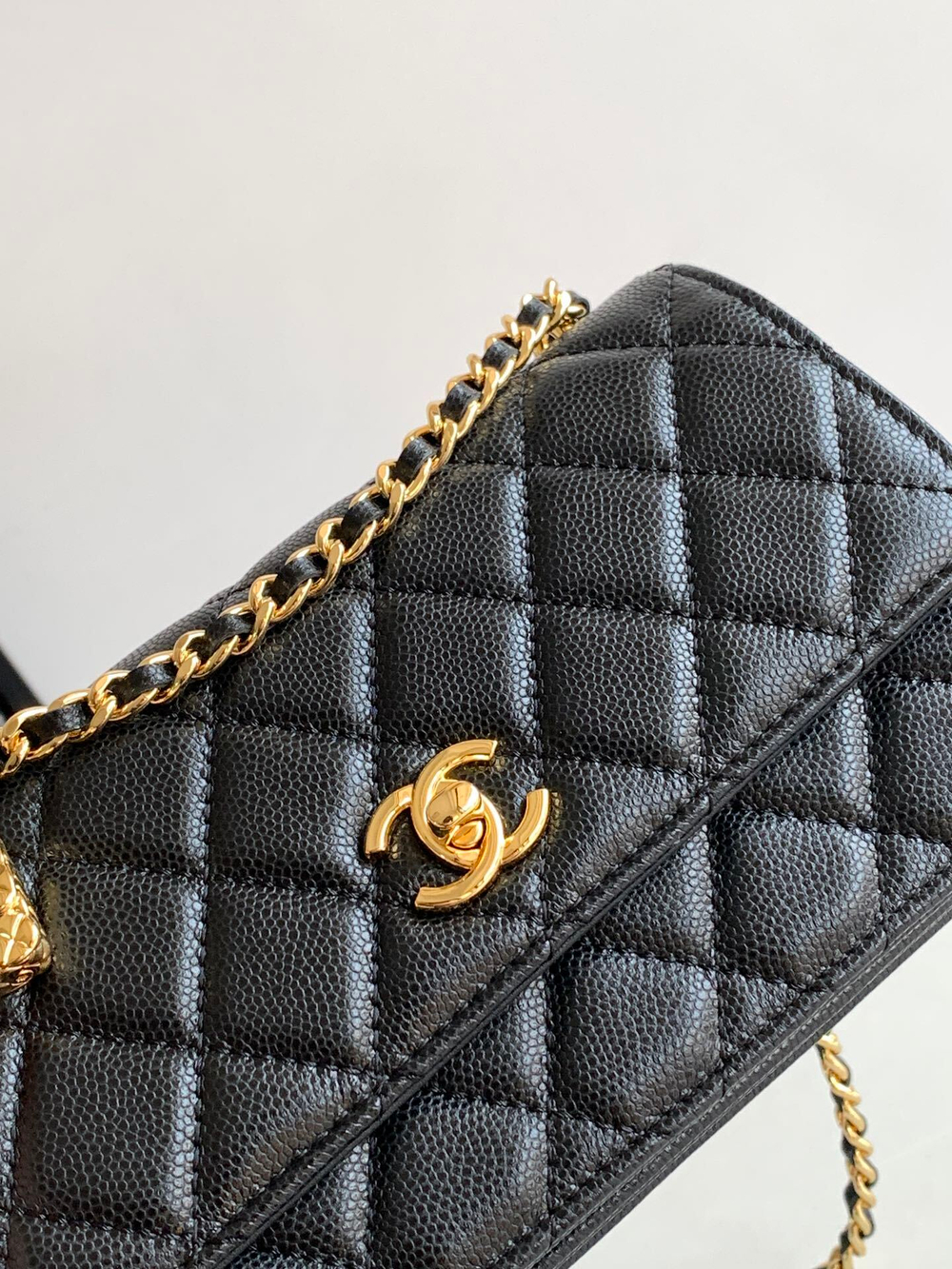Chanel Woc 19 cm