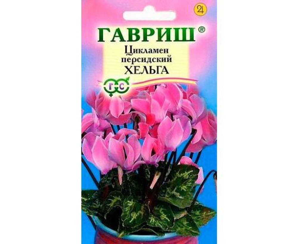 Цикламен персидский Хельга 3шт.