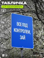 Табличка мотивационная большая "Всё под контролем, зай", аффирмация, для интерьера, 30х40 см, пластиковая, Айдентика Технолоджи
