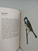 В мире птиц. Карманный атлас