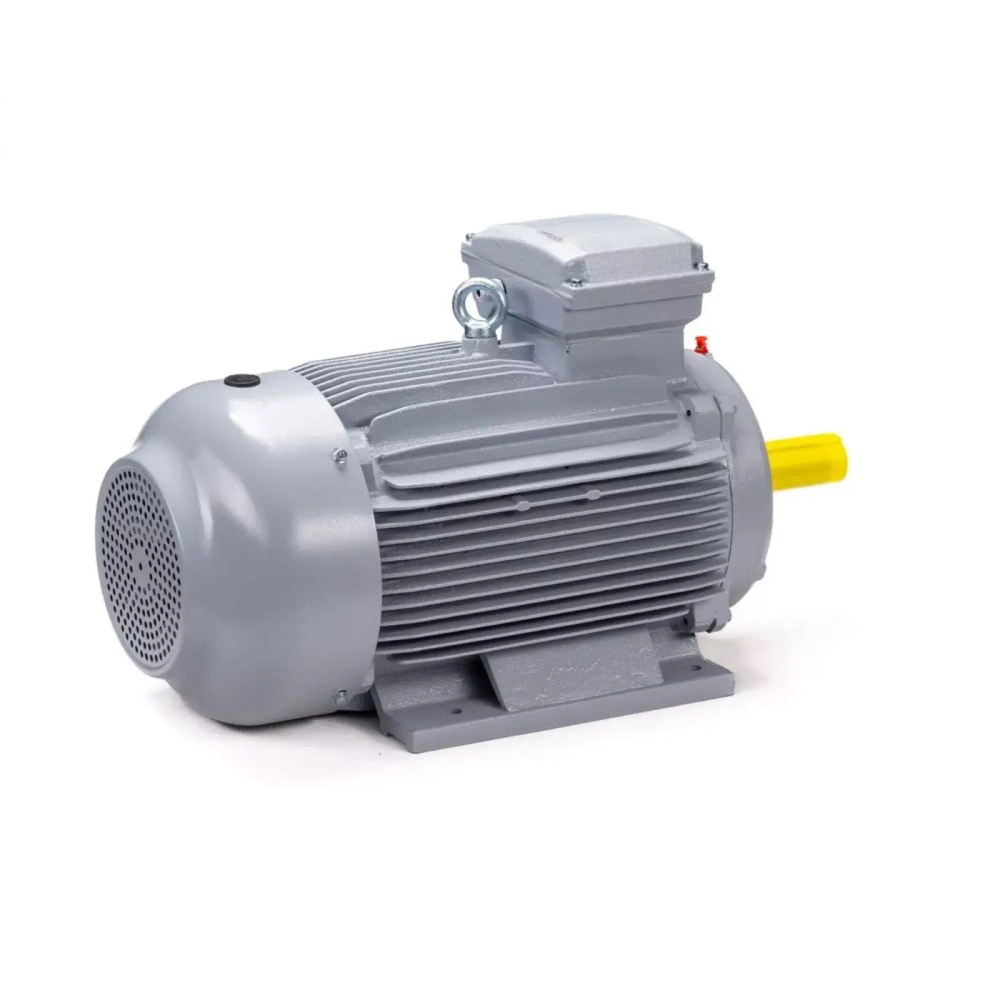 Электродвигатель ESQ PR 160 M6 GST-Б1-S12-IE2 15/1000 IM2001