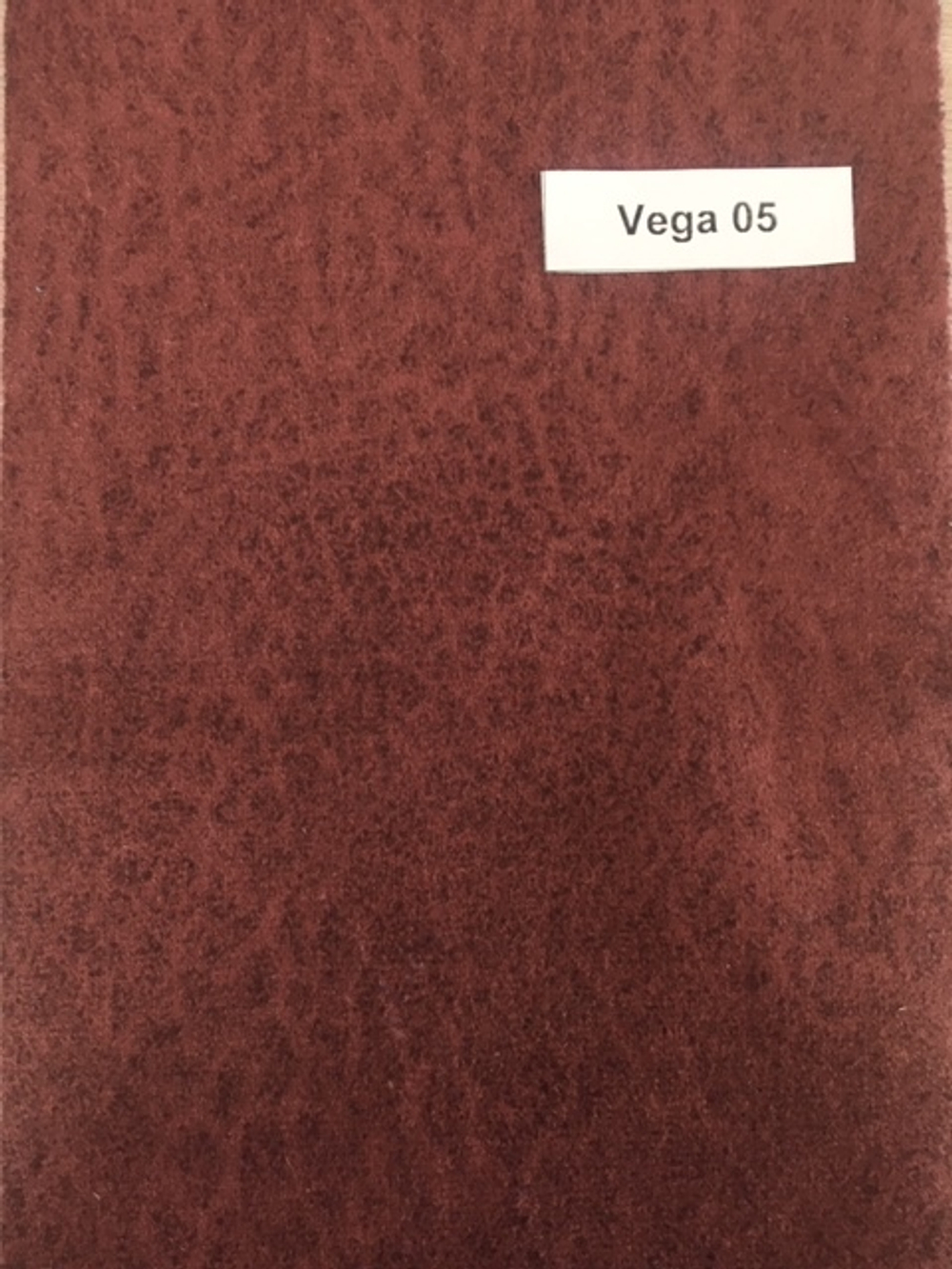 Vega 05