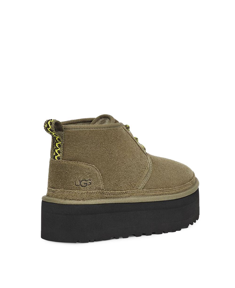 NEUMEL HERITAGE PLATFORM-forest night