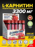 L-Carnitine 3300 мг