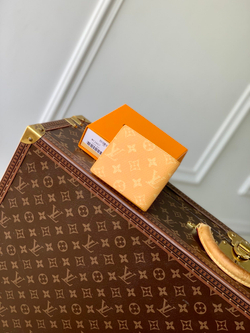 Louis Vuitton Multiple Wallet