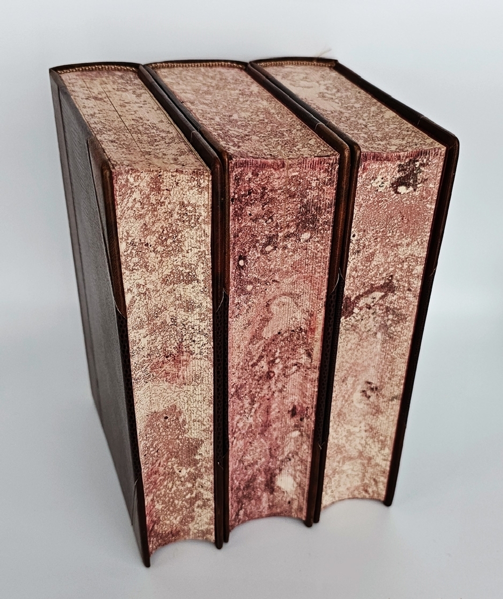 "Полное собрание стихотворений А.А.Фета в трёх томах". Афанасий Фет. 1901 г.