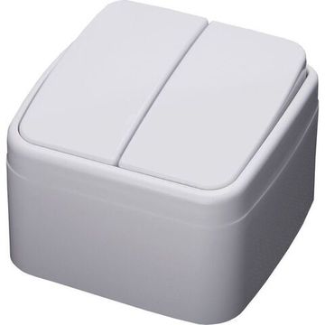 Выключатель 2-кл о/у 250 В, 10 А  Basic белый 39032 PSW10-42-20
