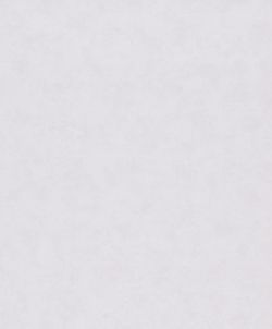 Shades Iconic / Flora