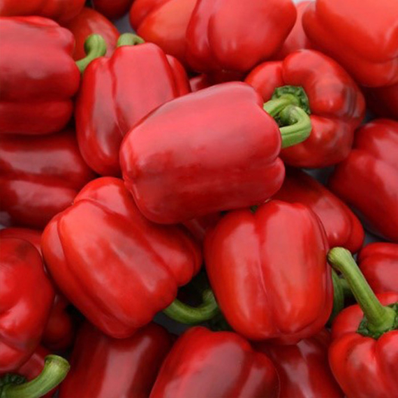 ЮПИТЕР семена перца сладкого (Syngenta | Alexagro) – фото 4