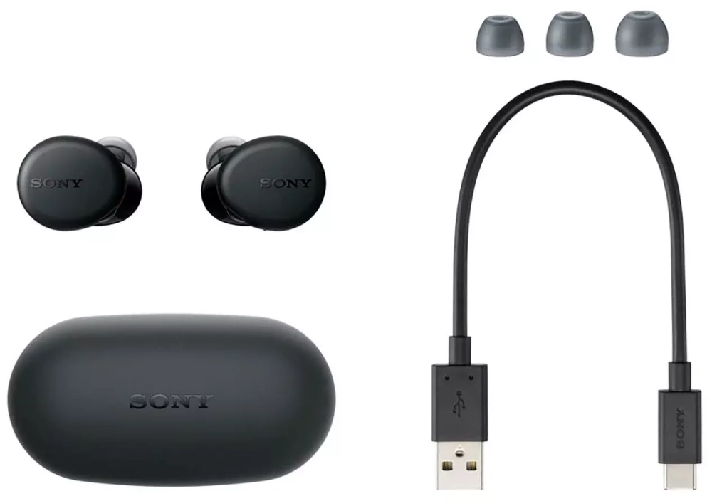 Беспроводные наушники Sony WF-XB700, черный