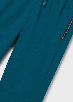 спортивные брюки