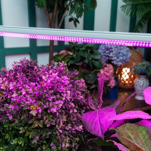 Светильники и лампы для растений