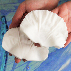 Вайнер крупного лепестка Мака ClayCraft by DECO™