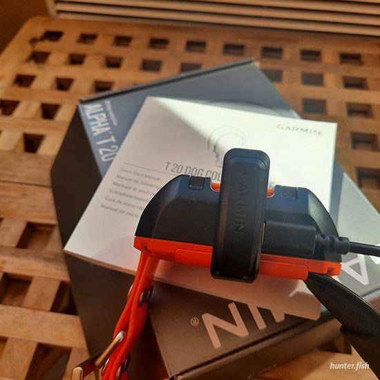 Garmin Alpha T20 собачий ошейник