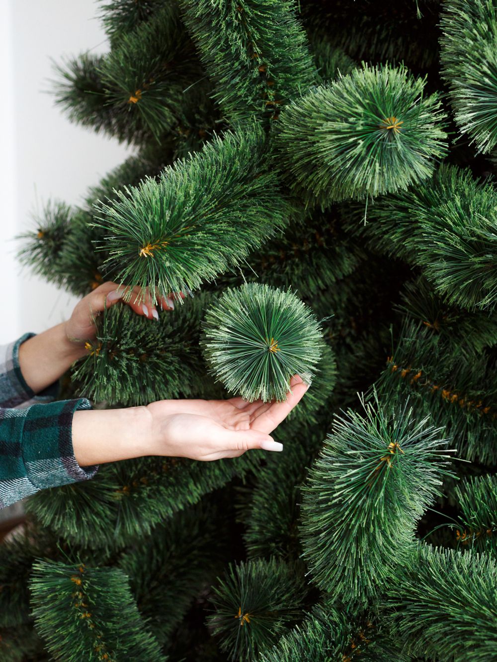 Ветка на крючке - хвоя леска