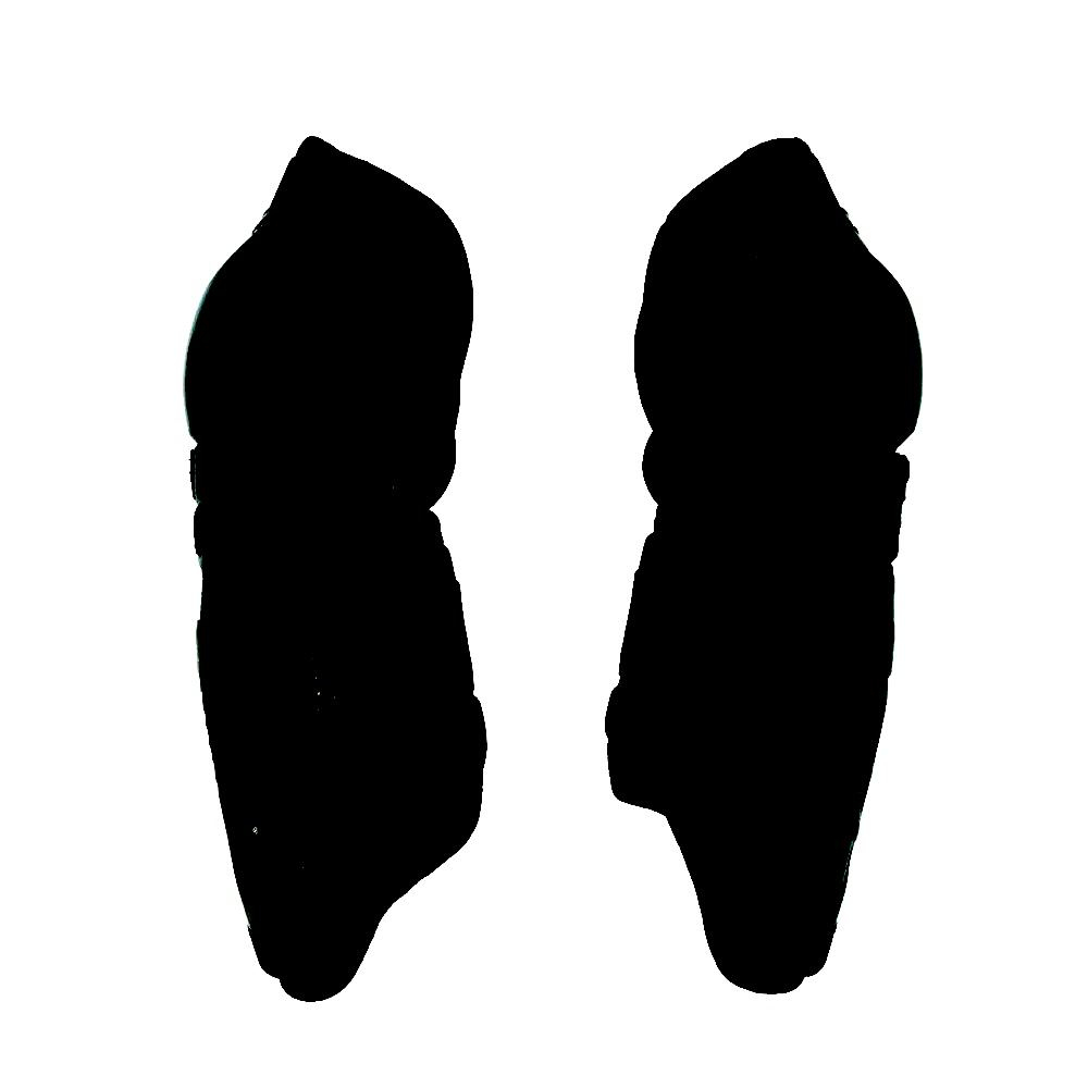 Щитки FL 2025 (JR)