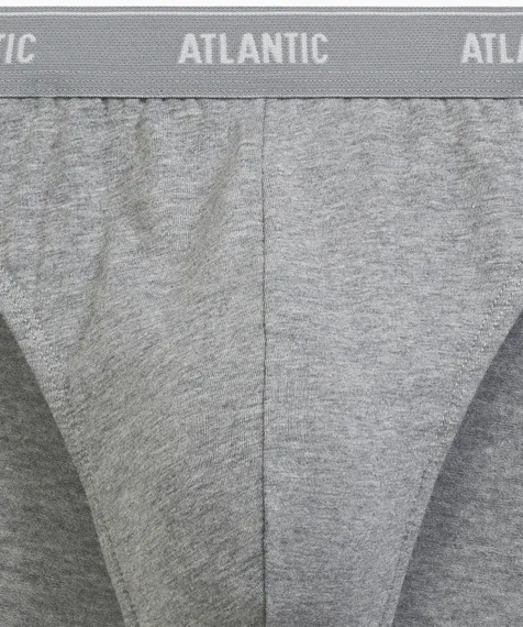 Мужские трусы (2шт) слипы спорт Atlantic 2RMP-094, хлопок, серый меланж + морской