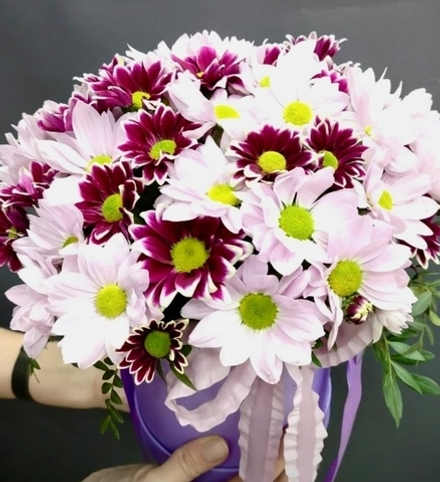 Композиция на 18.11