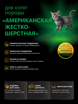 Корм сухой для котят породы Американская жесткошёрстная, с ягненком, 2кг, QUATTRO